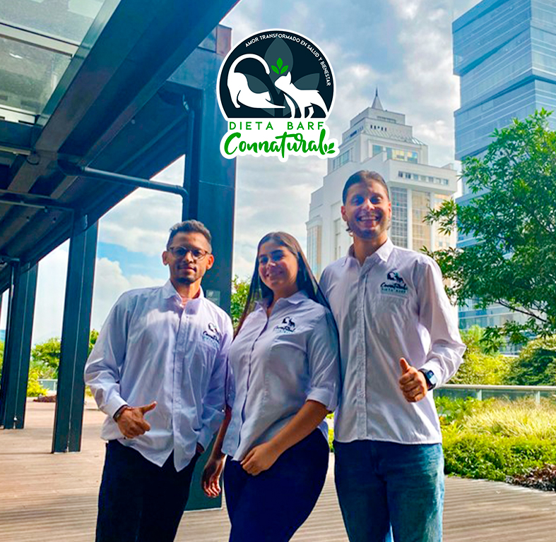 Equipo de trabajo conncatural